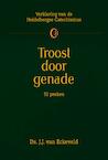 Troost door genade (e-Book) - J.J. van Eckeveld (ISBN 9789462789760)
